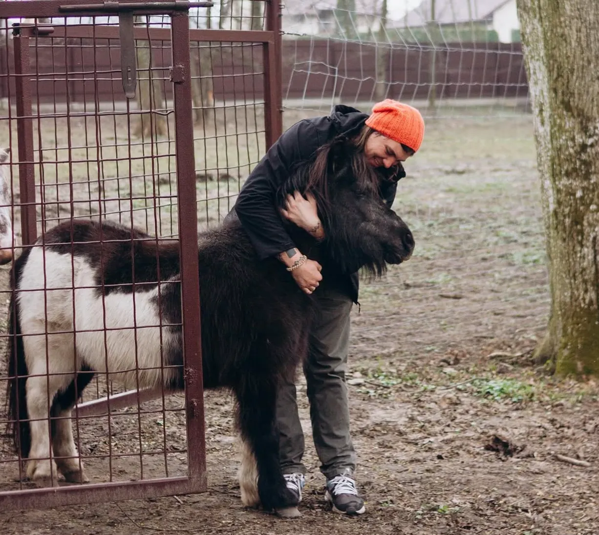 Реабілітація військових